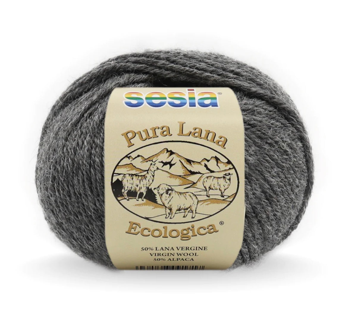 Lana Ecologica 10 ply