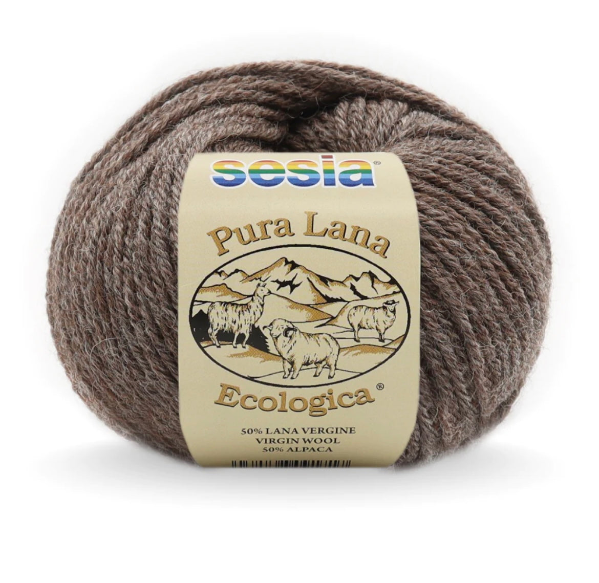 Lana Ecologica 10 ply