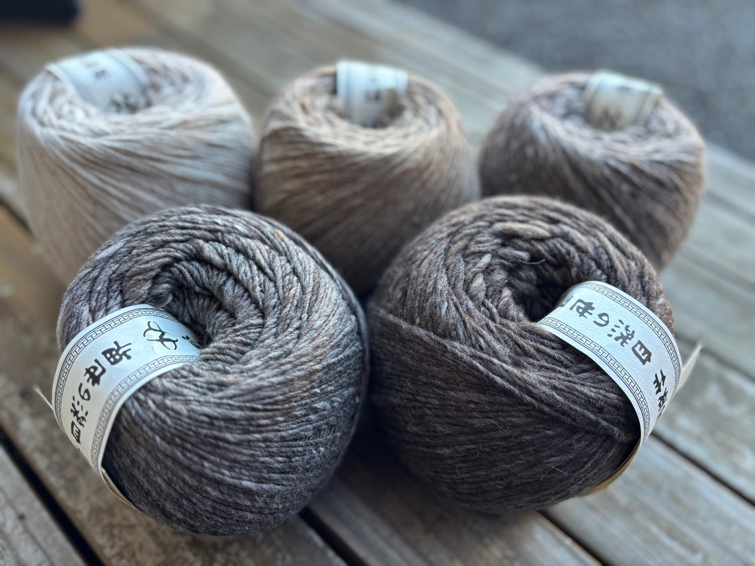 Welcome to the World of NORO